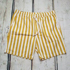 Forever 21 Pull On Woven Stripe Shorts
